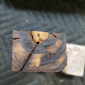 Desert ironwood