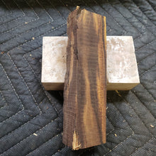 Desert ironwood