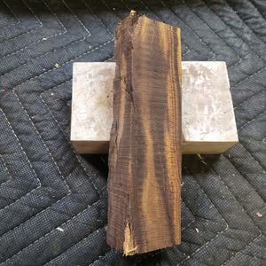 Desert ironwood