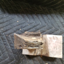 Desert ironwood casting