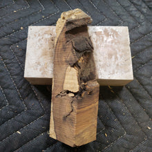 Desert ironwood casting