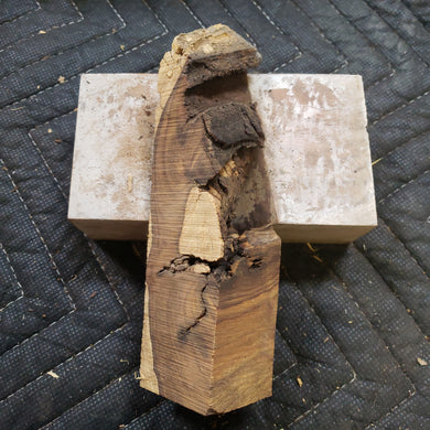 Desert ironwood casting