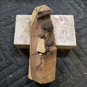 Desert ironwood casting