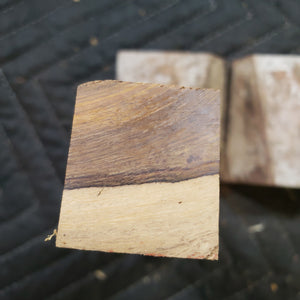 Desert ironwood casting