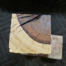 Desert ironwood casting