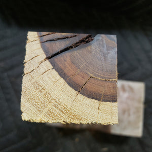 Desert ironwood casting
