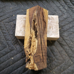 Desert ironwood casting