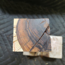 Desert ironwood casting