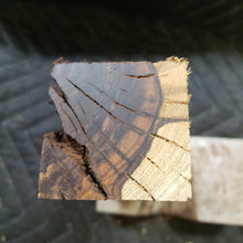 Desert ironwood casting
