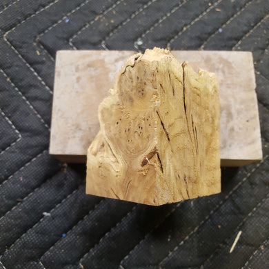 Casting russian olive burl