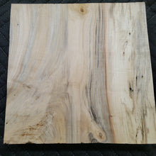 Horse Chestnut