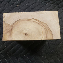Horse Chestnut