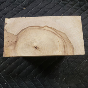 Horse Chestnut