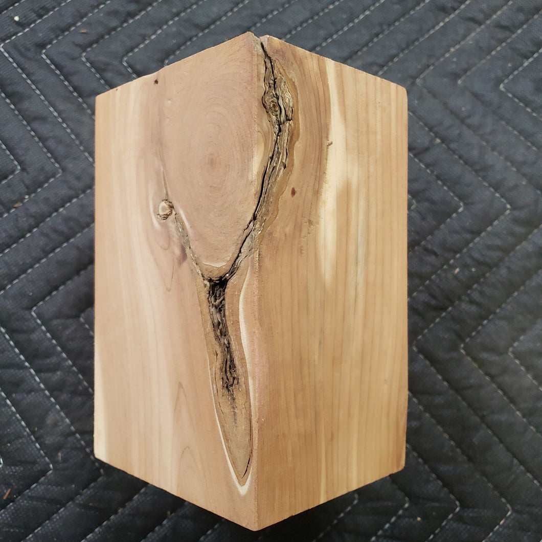 Juniper
