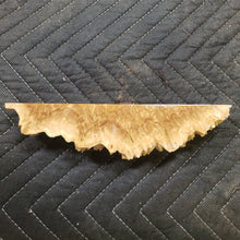 Casting corrugata burl