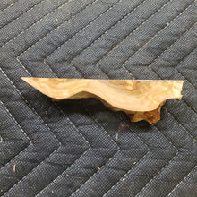 Casting corrugata burl