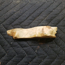 Casting corrugata burl