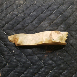 Casting corrugata burl