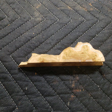 Casting corrugata burl