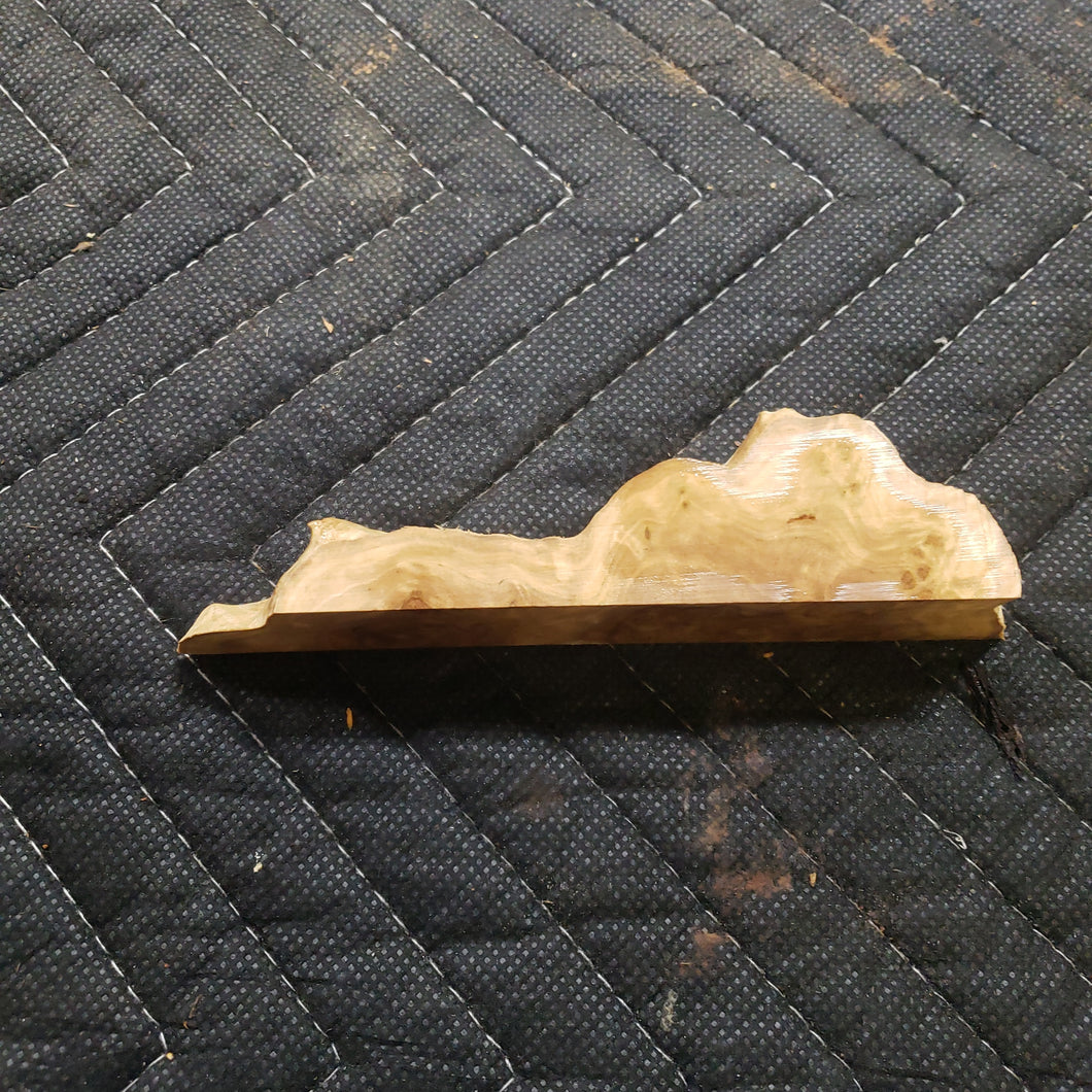 Casting corrugata burl