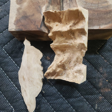 Casting Yellow box burl