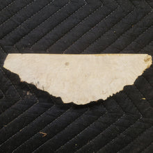 Casting box elder burl