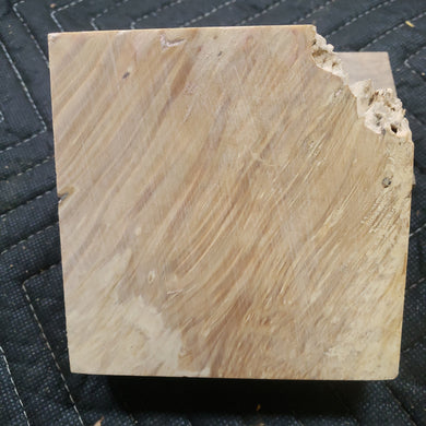 Box elder burl stabilized