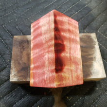Stabilized cottonwood bottle stopper