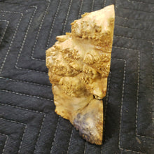 Casting box elder burl