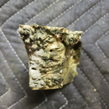 Casting box elder burl