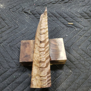 Casting cottonwood