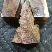 Casting box elder