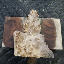 Casting box elder