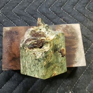 Casting box elder