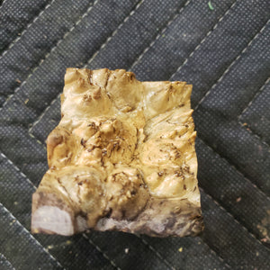 Casting box elder