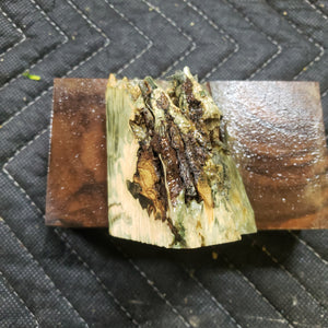 Casting box elder