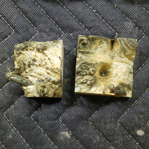 Casting box elder