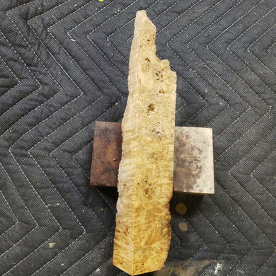 Casting Box Elder Burl