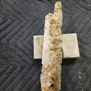 Casting Box Elder Burl