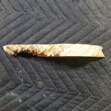 Casting Brown Mallee burl