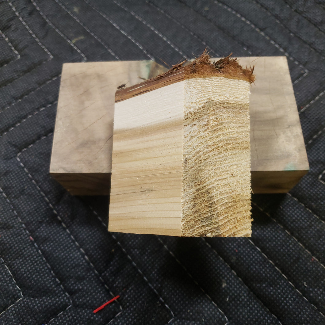 Casting Western cedar