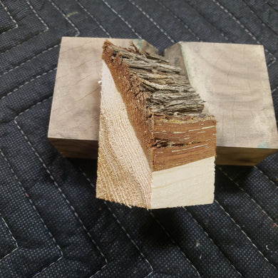Casting Western cedar