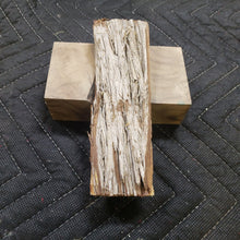 Casting Western cedar