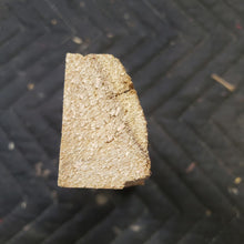 Casting Western cedar