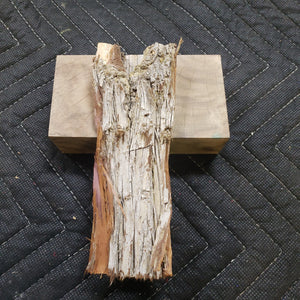 Casting Western cedar