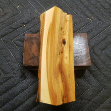 Utah juniper