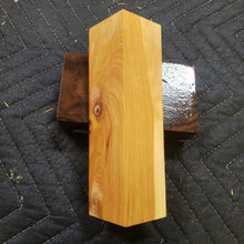 Casting Utah juniper