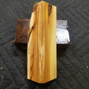 Casting Utah juniper