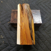 Casting Utah juniper