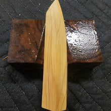 Casting Utah juniper